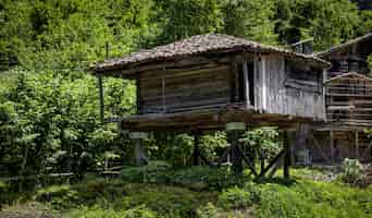 Foto grátis linda casa de aldeia entre as árvores em uma floresta capturada na suíça