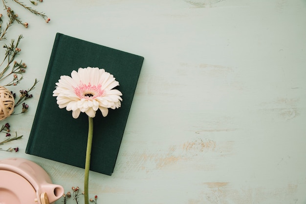 Foto grátis linda flor no livro