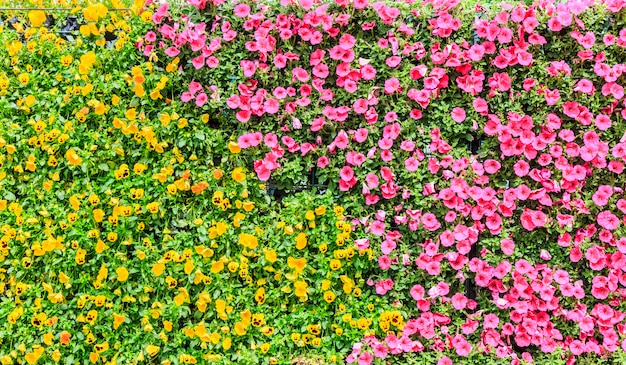 Foto grátis linda folha beleza floral hedge vermelho