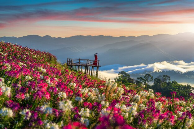 Linda garota apreciando os campos de flores e o mirante do nascer do sol na província de Tak