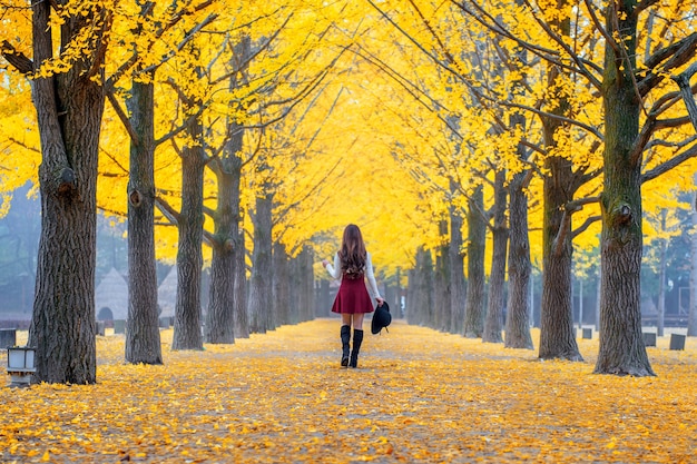 Linda garota com folhas amarelas na ilha de Nami, Coreia.