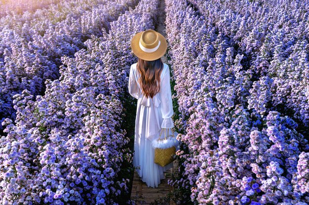 Linda garota vestida de branco caminhando nos campos de flores de Margaret, em Chiang Mai, na Tailândia