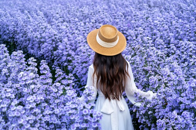 Linda garota vestida de branco caminhando nos campos de flores de Margaret, em Chiang Mai, na Tailândia