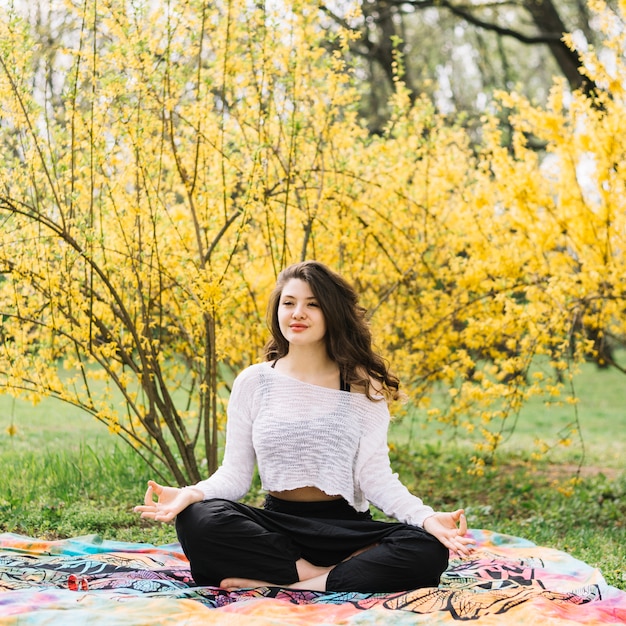 Linda mulher atraente fazendo yoga no parque