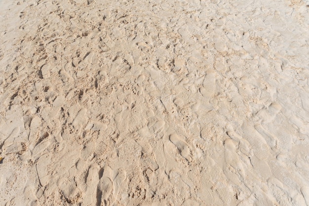 Linda praia de areia e pegadas