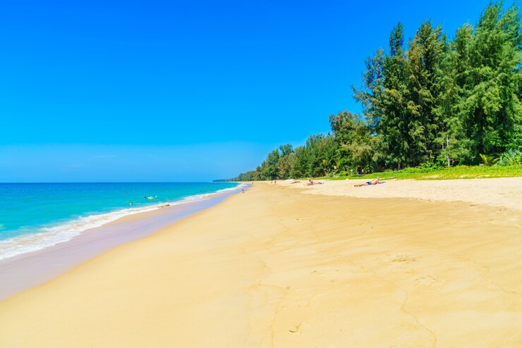Foto grátis linda praia e mar
