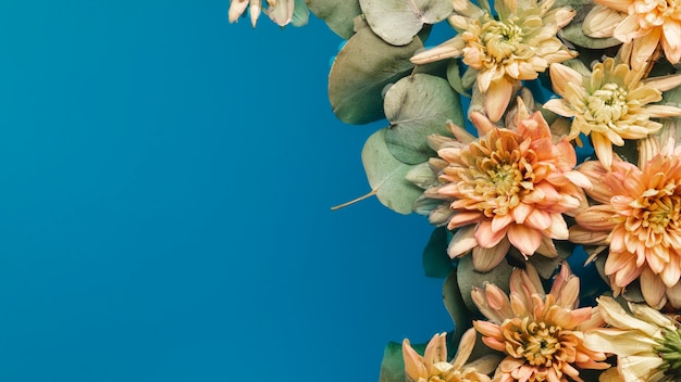 Foto grátis lindas flores com espaço para texto