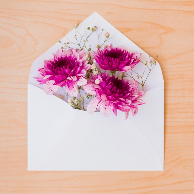 Lindas flores cor de rosa dentro do envelope branco sobre fundo de madeira