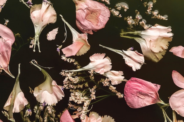 Foto grátis lindas flores cor de rosa na água preta