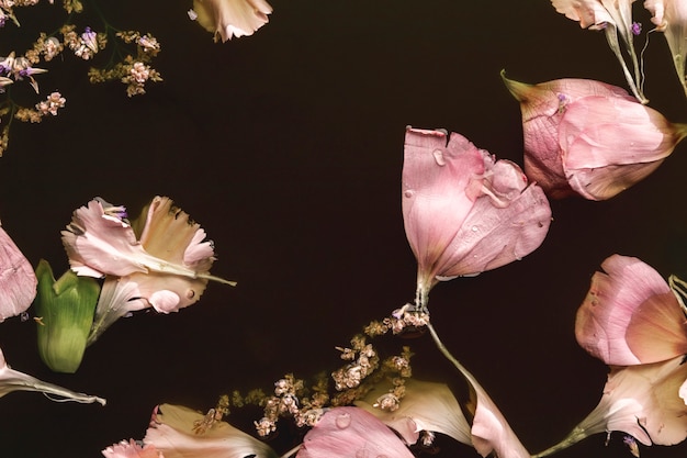 Lindas flores cor de rosa na água preta