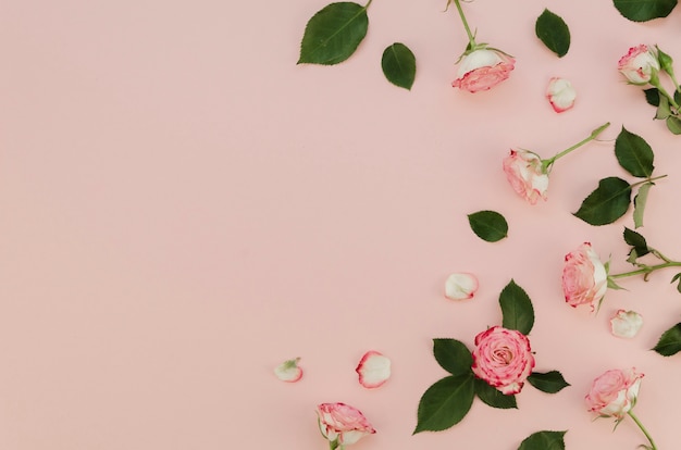 Foto grátis lindas rosas frescas com espaço de cópia