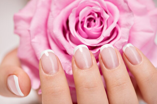 Lindas unhas de mulher com linda manicure francesa e rosa rosa