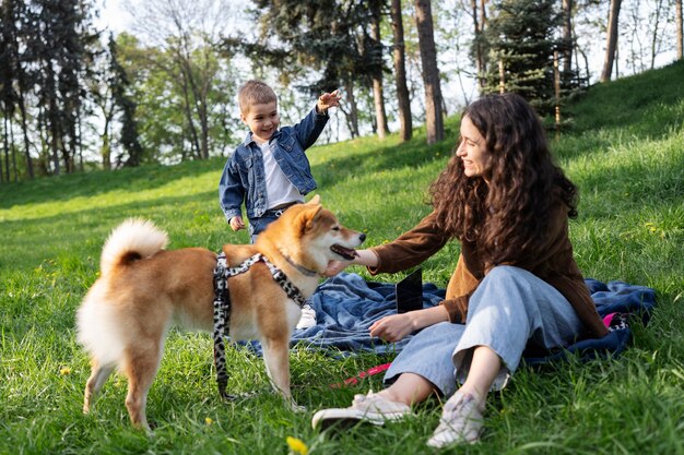 Lindo animal de estimação shiba inu com a família