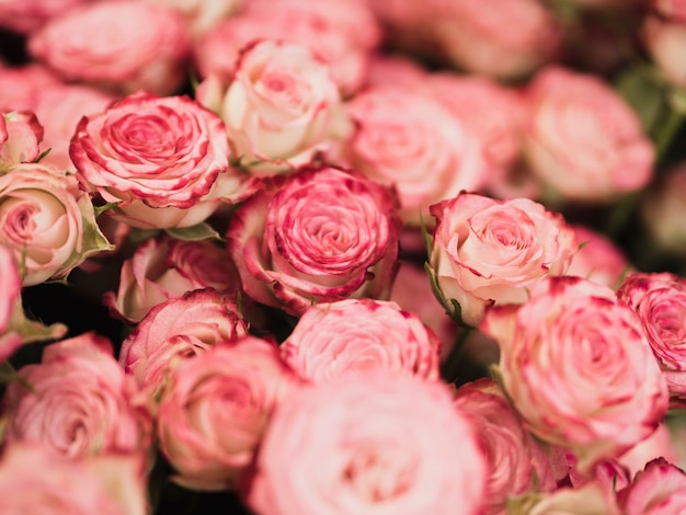 Lindo buquê de rosas close-up