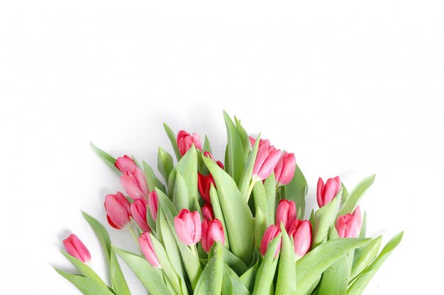 Lindo buquê de tulipas