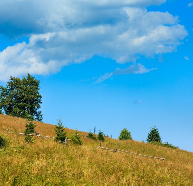 Lindo céu azul com nuvens cúmulos brancas sobre a colina das montanhas dos cárpatos de verão (ucrânia). dois tiros costuram a imagem.