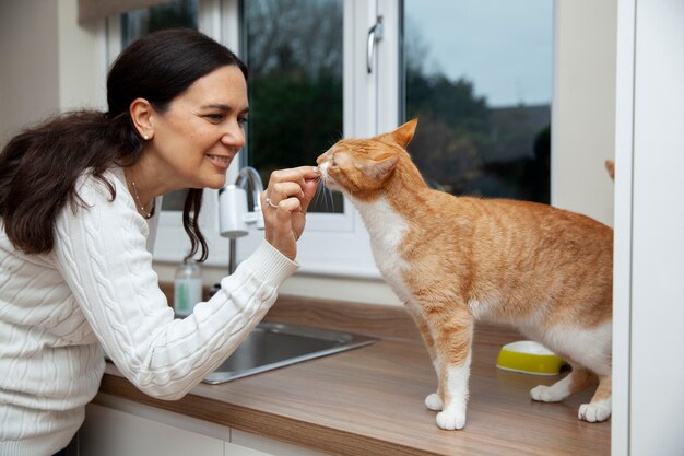 Lindo gato em casa