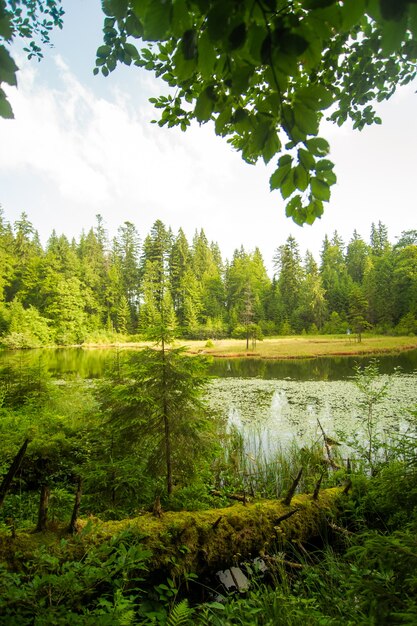 Lindo lago nas montanhas