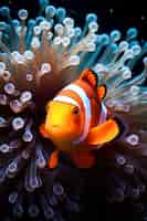 Foto grátis lindo peixe-palhaço exótico