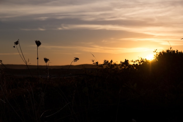 Lindo pôr do sol