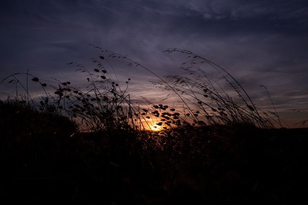 Foto grátis lindo pôr do sol