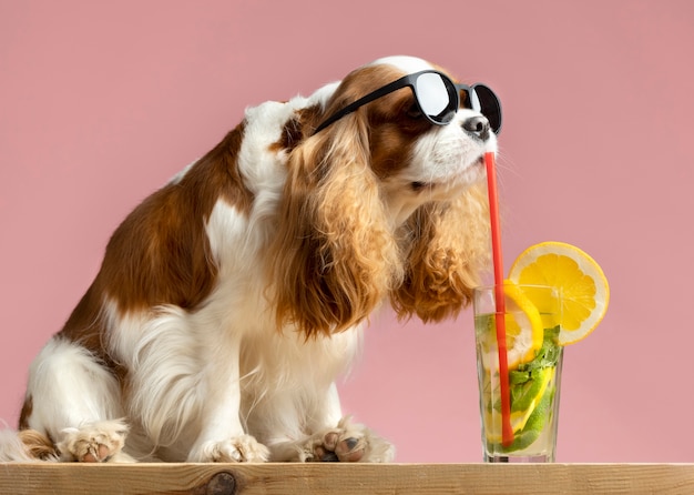 Lindo retrato de animal de estimação de cachorro com suco