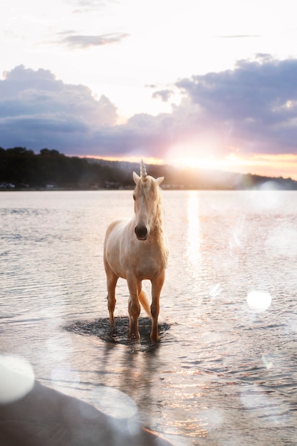 Foto grátis lindo unicórnio na composição da natureza