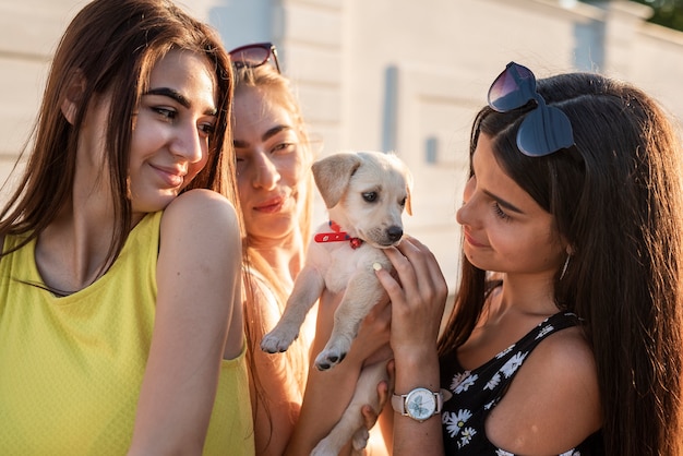 Lindos amigos brincando com cachorro fofo