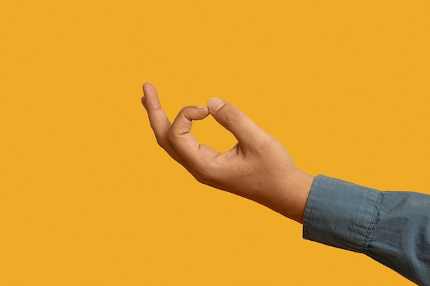 Foto grátis linguagem de sinais gesto com a mão
