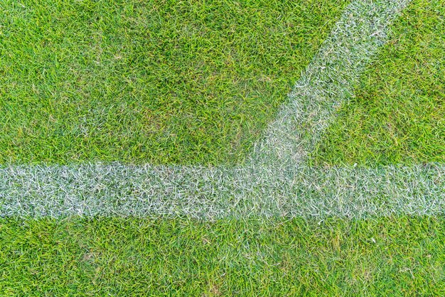 Linha branca em uma grama de campo de futebol