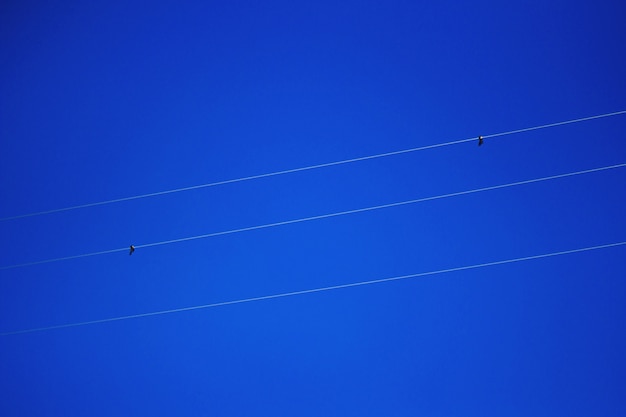 Foto grátis linhas no céu