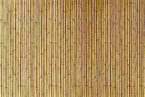 Foto grátis listras de bambu dourado com textura