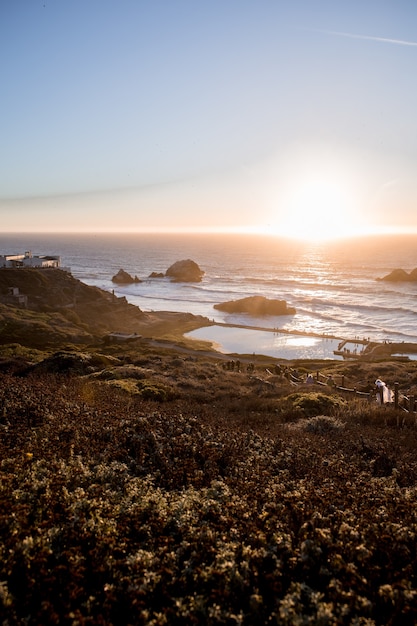 Foto grátis litoral perto de plantas ao nascer do sol