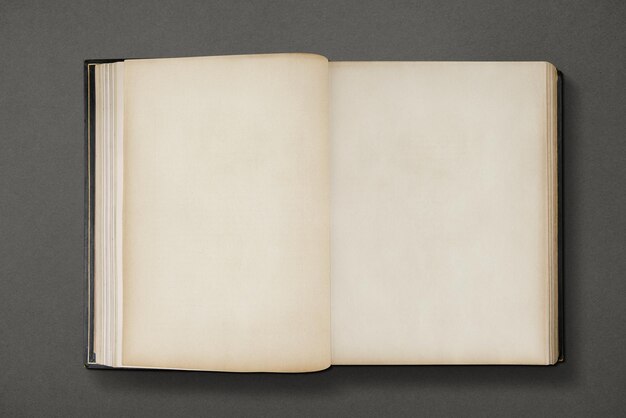 Livro aberto, páginas em branco antigas antigas com espaço de design