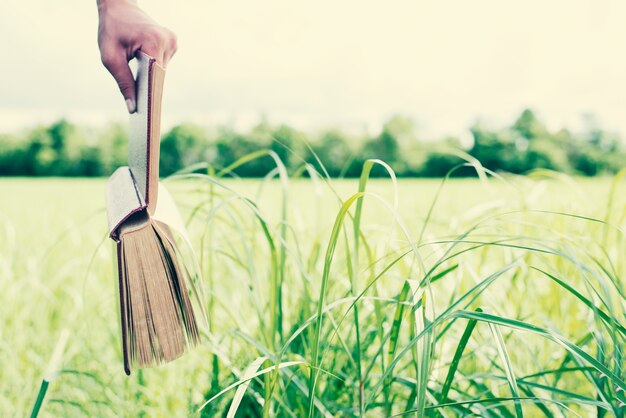 Livro realizada por uma mão no campo