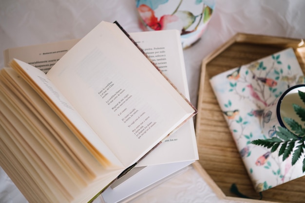 Livros abertos perto da bandeja