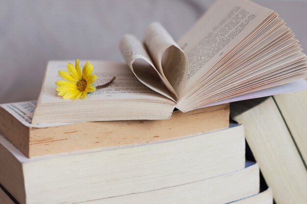 Foto grátis livros e flor amarela