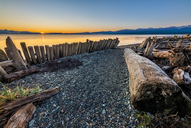 Logs de madeira marrom na areia cinza durante o pôr do sol