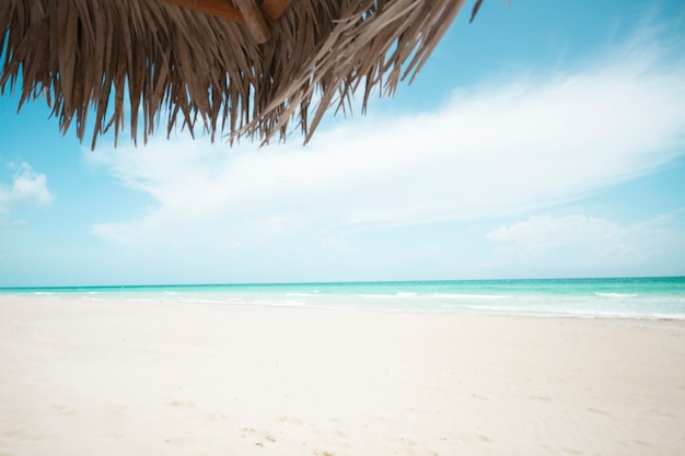Long shot praia exótica com guarda-chuva de palma