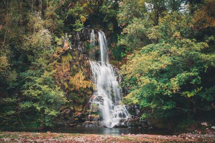 Foto grátis longa exposição de uma cachoeira em uma floresta colorida