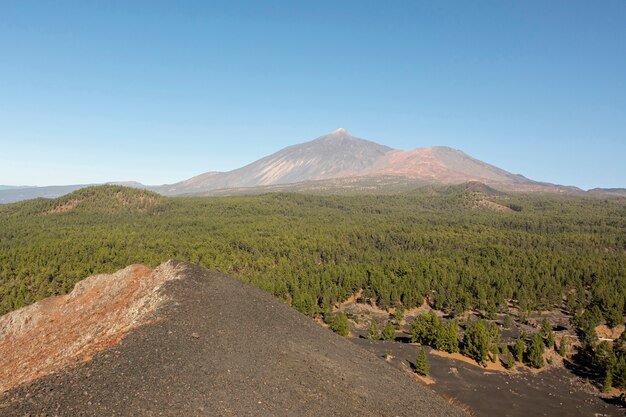 Longe, pico montanha, com, floresta