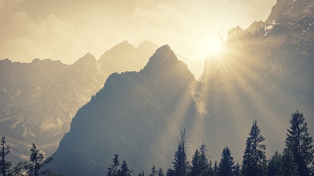 Foto grátis luz através das montanhas