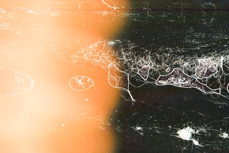 Foto grátis luz de fundo abstrato