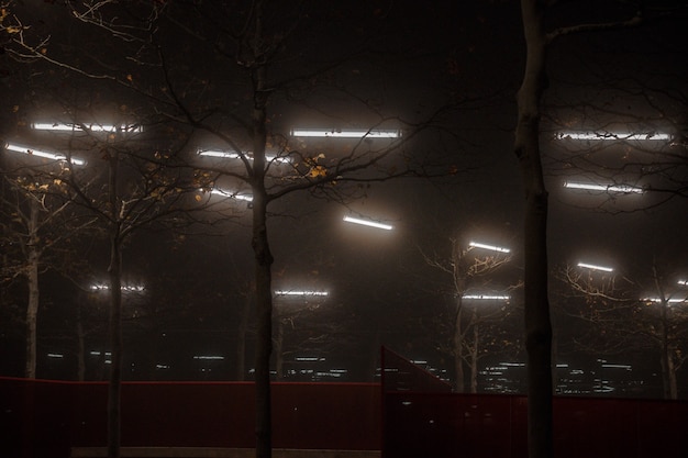 Foto grátis luzes da cidade durante noite de nevoeiro