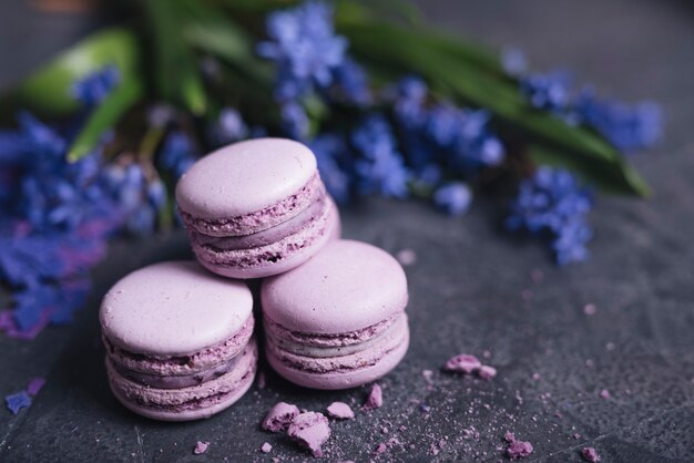 Macaroons e eclairs cozidos perto do vaso decorativo em fundo preto