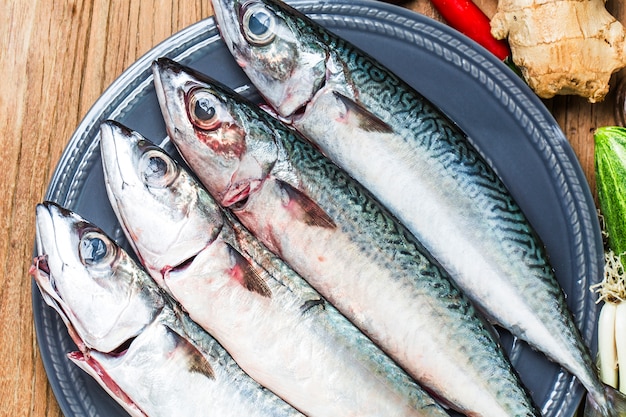 Macarrão de peixe fresco