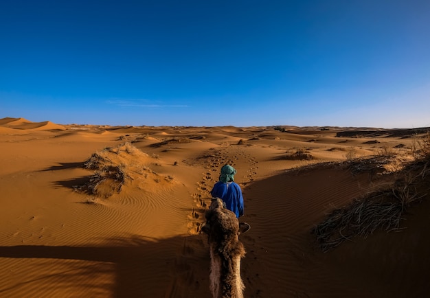 Macho com uma camisa azul andando na frente de um camelo no meio de dunas de areia com céu claro