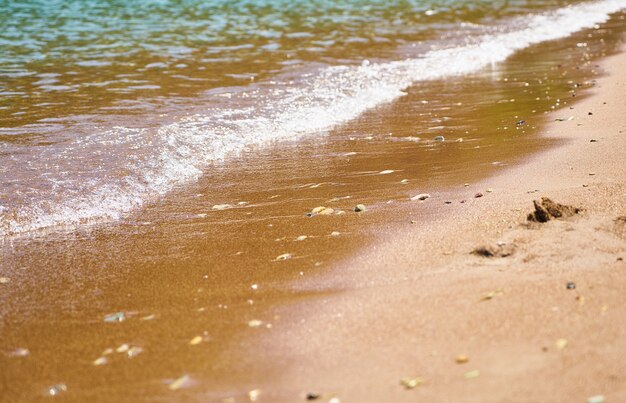 macio onda na praia