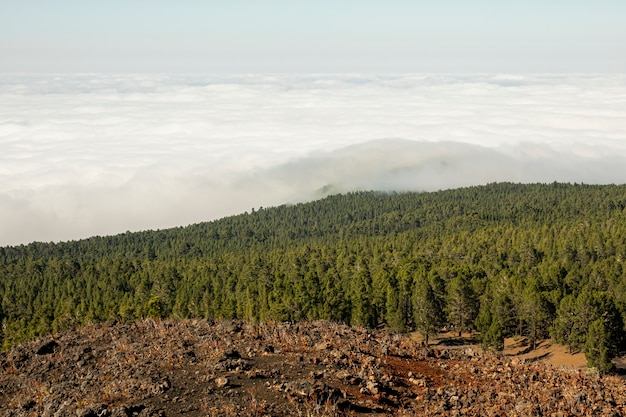 Madeiras da montanha com nuvens bonitas