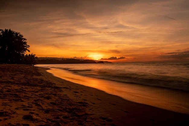 Magnífico cenário de uma praia com árvores e um mar ao pôr do sol